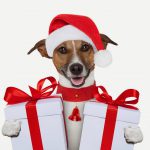 navidad amazon