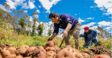 Ministerio de Agricultura marketplace agricultores