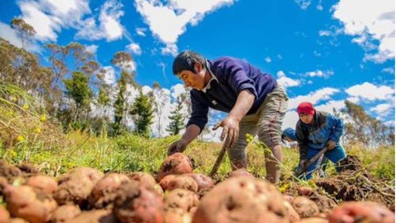 Ministerio de Agricultura marketplace agricultores