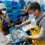 Produce: Pescadores artesanales podrán incursionar en el comercio electrónico pescadores ecommerce