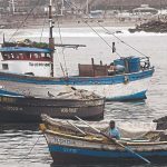 Pescadores artesanales buscan llegar directamente a los hogares a través del comercio electrónico pesca comercio electrónico Perú