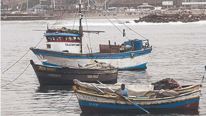 pesca comercio electrónico Perú