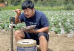 agricultores transmiten en vivo TikTok