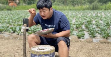 agricultores transmiten en vivo TikTok