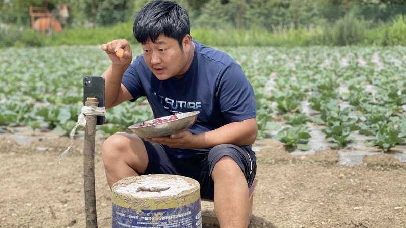 agricultores transmiten en vivo TikTok