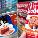 Comunicado-realizado-por-la-Indecopi