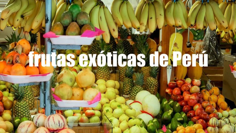 Exportaciones de Perú: Aumenta su exportación de frutas exóticas