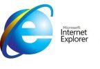 La mitad de los negocios en el mundo usan Internet Explorer