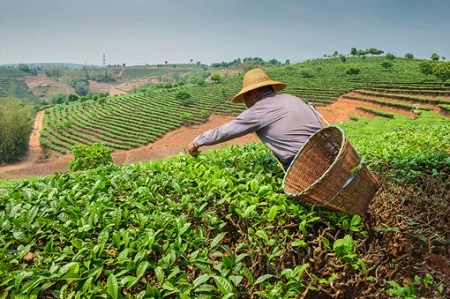 economía perú