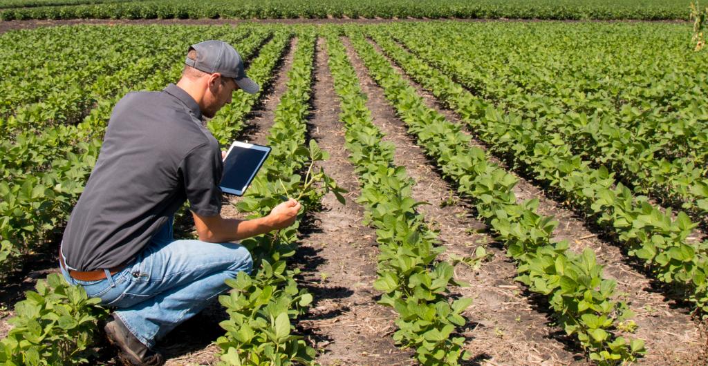 empresas agrícolas en perú