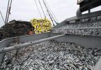 empresas pesqueras en perú