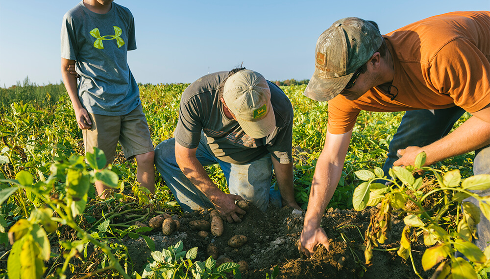 empresas agrícolas en perú