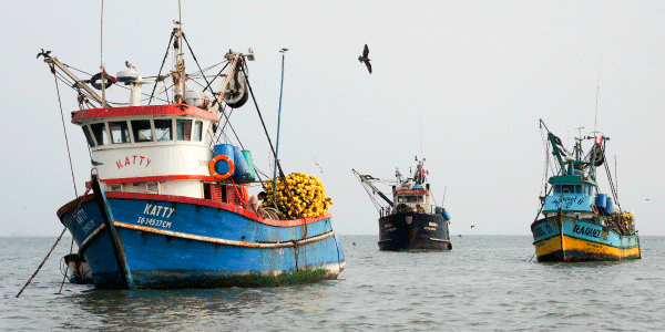 empresas pesqueras en perú