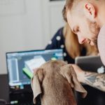 Colombia transforma el cuidado de mascotas con el impulso del comercio digital