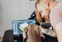 Colombia transforma el cuidado de mascotas con el impulso del comercio digital